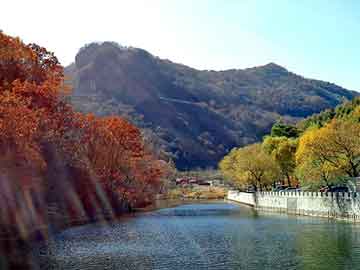 管家婆黑白马报图库，都市校园